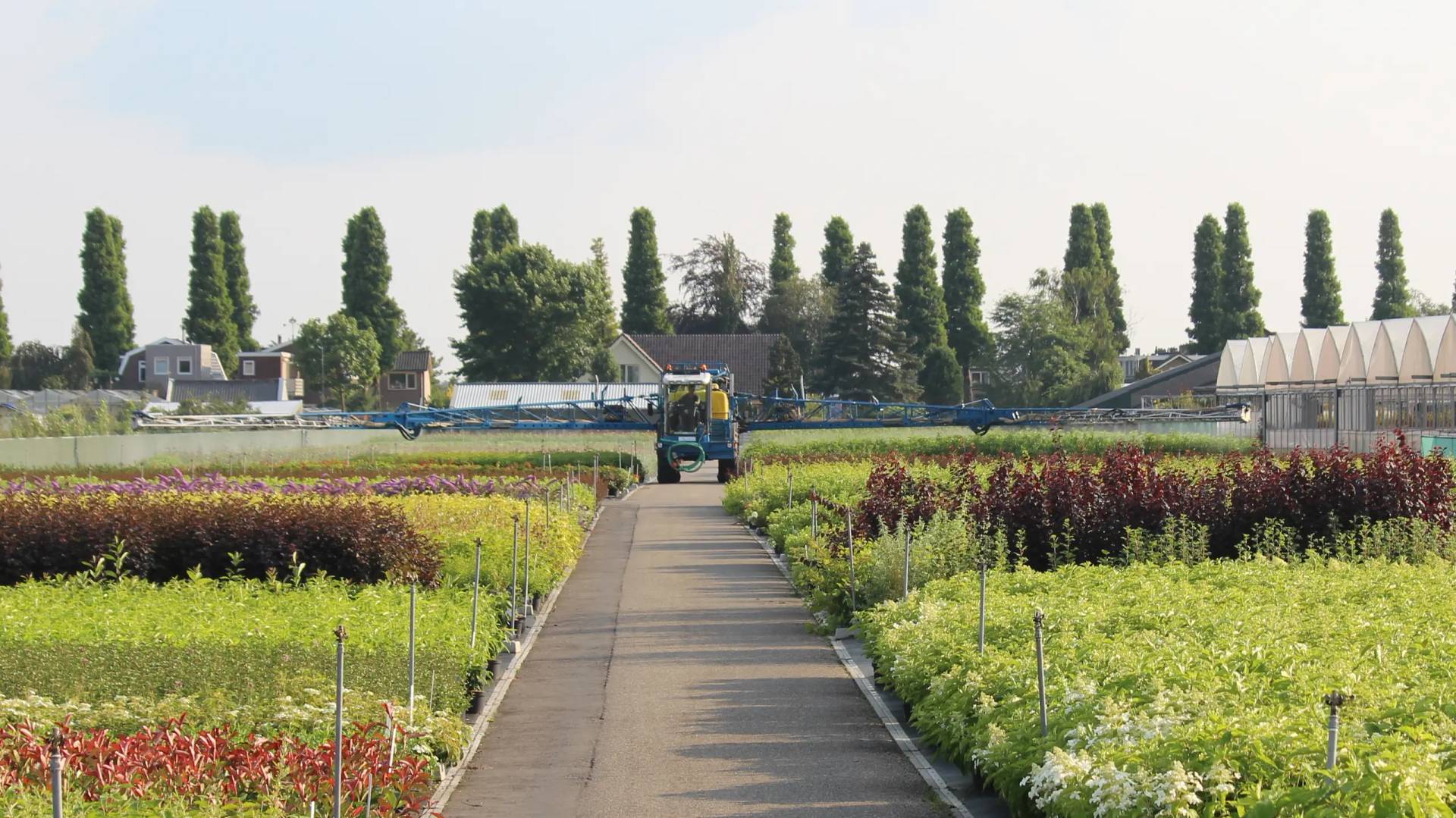 Carousel background slide 0